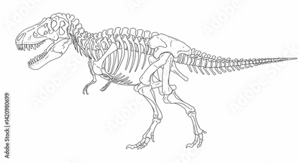 Fototapeta Tyrannosaurus Rex Skeleton Illustration on White Background - Anatomy and Paleontology
