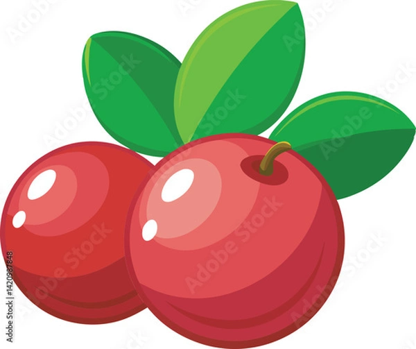 Obraz A vibrant and detailed vector art illustration showcasing the delicious and fresh cranberry fruit with rich colors and textures.