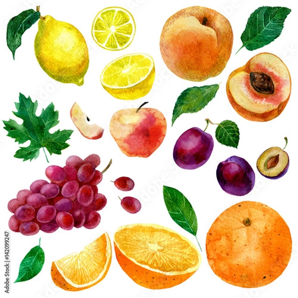 Obraz Watercolor illustration, set of watercolor fruit, parts and leaves, peach, plum, lemon, orange, apple and grapes.