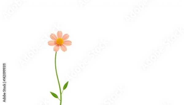 Fototapeta Single, pale pink flower on stem