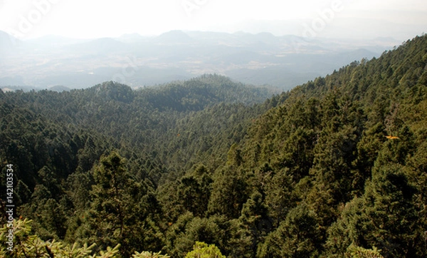 Obraz Landscape in Mexico