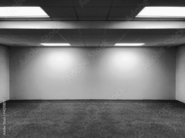 Fototapeta Perspective view of Empty Space Classic Office Room with Row Ceiling LED Light Lamps and Lights Shade on Wall for Gallery Interior / Template to Mock Up Display Office Furniture