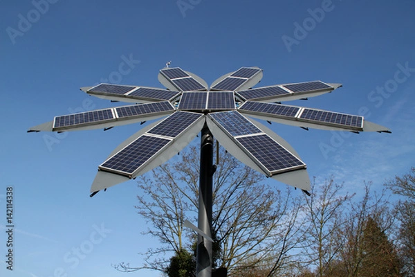 Obraz Eine Solar Blume