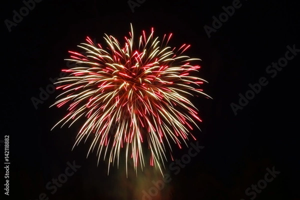 Obraz Firework