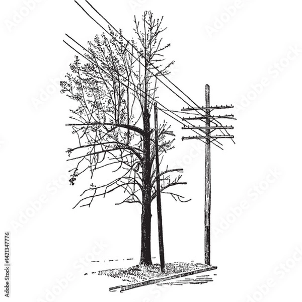 Obraz Tree Trimmed by Linemen Vintage Illustration⁠ 