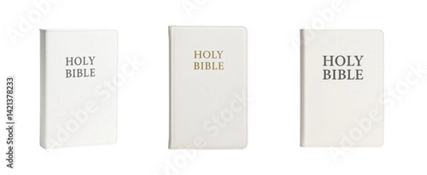 Fototapeta Set of White Holy Bibles with Transparent Background