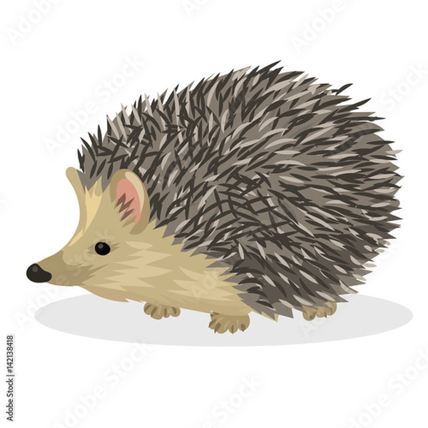 Obraz Основные RGB