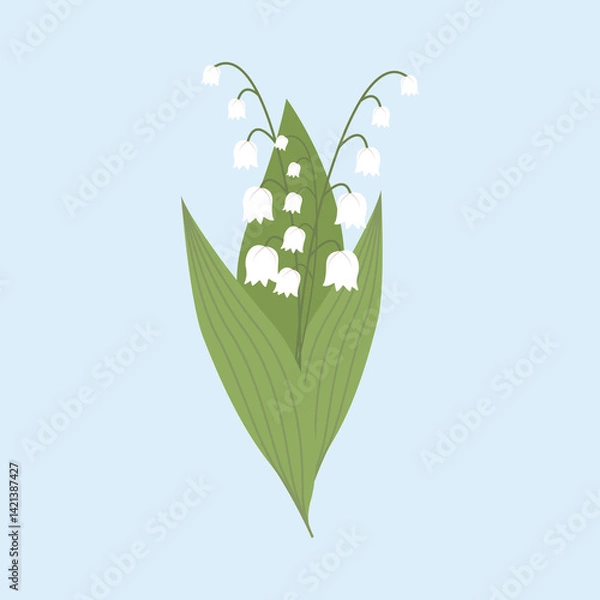 Fototapeta A simple lily of the valley, highlighted on a light blue background. A blooming spring forest plant.