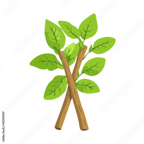 Obraz Simple flat 2D icon ashwagandha isolated on transparent background, vector, flat design, animation design, vector, flat design, animation design, simple flat 2D icon, minimalist design, clipart