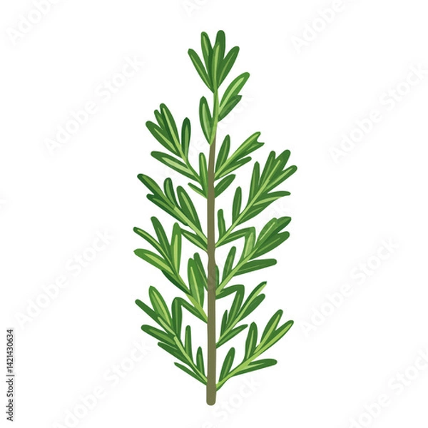 Obraz A Very Simple flat 2D icon of rosemary isolated on a white background, vector, flat design, animation design, simple flat 2D icon, minimalist design, clipart design, EPS