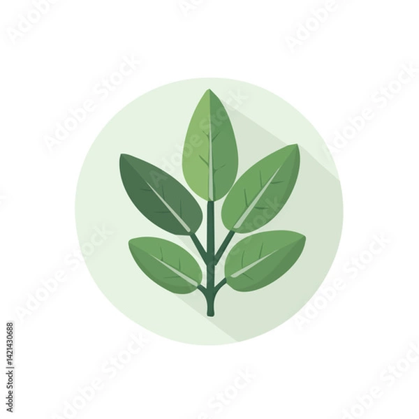Obraz A Very Simple flat 2D icon sage branches isolated on a white background, vector, flat design, animation design, simple flat 2D icon, minimalist design, clipart design, EPS