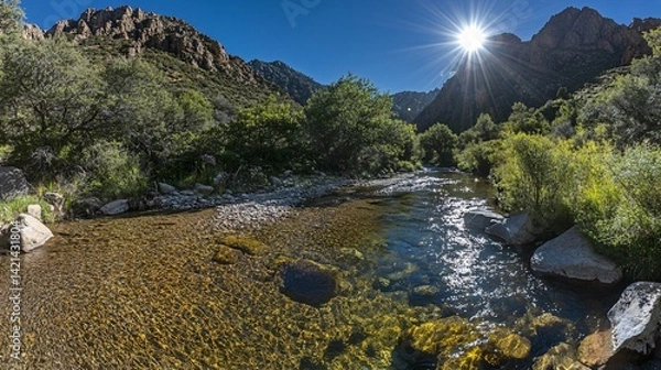 Fototapeta Wide angle view of crystal clear mountain stream winding through lush green forest sunlight reflecting cinematic depth created with Generative AI technology
