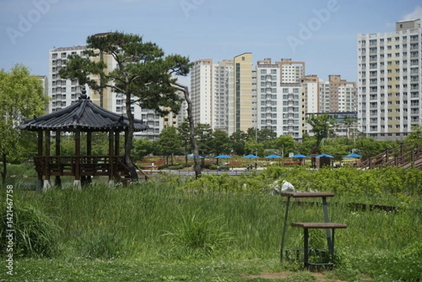 Obraz It is a park scenery