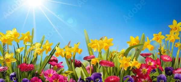 Obraz Wiosenny kwiat