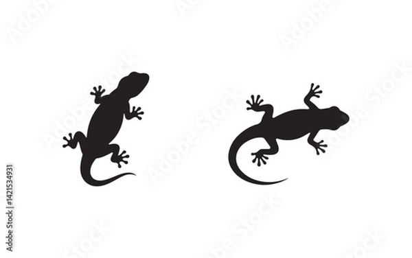 Fototapeta gecko on a white background