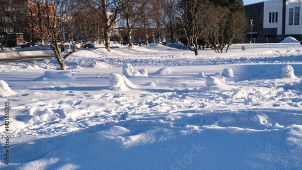 Fototapeta 雪だるまの残骸