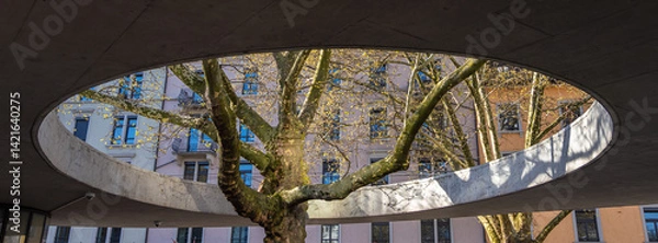 Obraz Circular Opening in Zurich Revealing Tree in Urban Architecture
