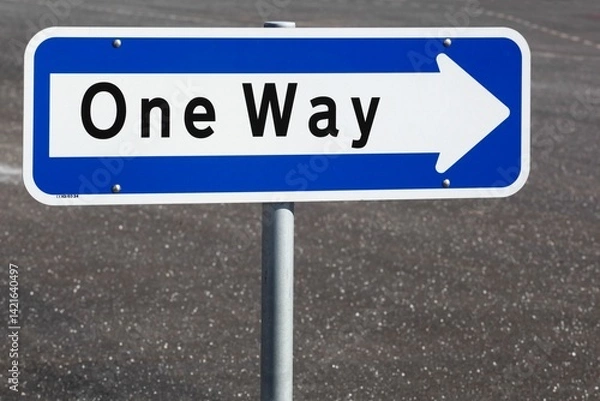 Obraz One way road sign