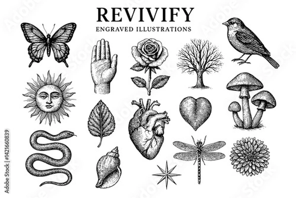 Fototapeta Creative collection of engraved illustrations featuring nature, animals, and symbols celebrating life and rebirth in a detailed artistic style