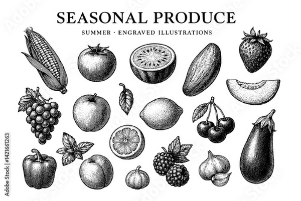 Fototapeta Engraved illustrations of seasonal produce showcasing summer fruits and vegetables in a delightful arrangement
