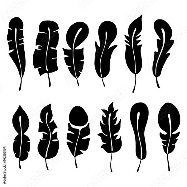 Fototapeta Vector set of hand drawn illustration, decorative stylized feather. Black and white graphic, silhouettes illustration, isolated on the white background. Inc drawing silhouette.