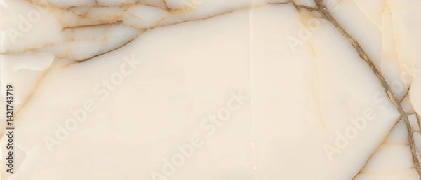 Obraz Onyx marble texture background 