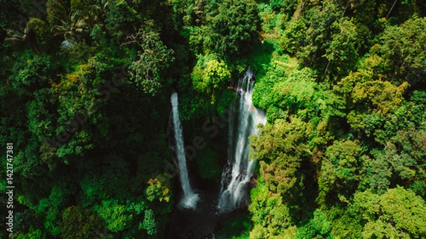 Fototapeta Majestic aerial shot of a cascading waterfall in a lush rainforest, with mist rising from the water and dense greenery surrounding the scene , Bali, Indonesia	
