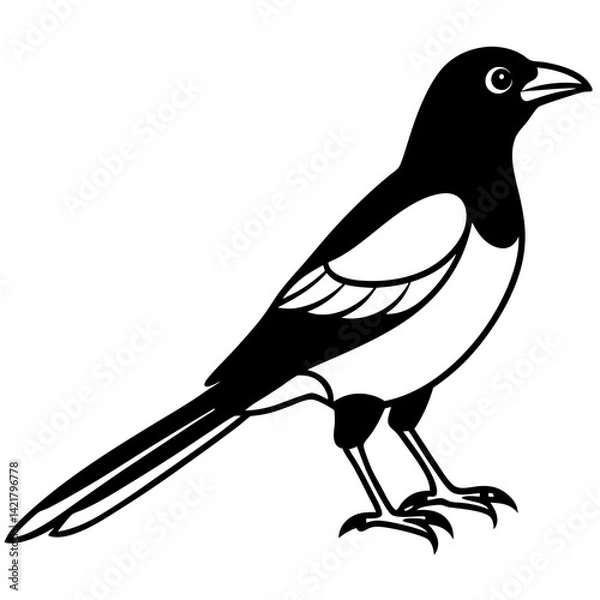 Fototapeta Elegant Magpie in One-Line Vector Design