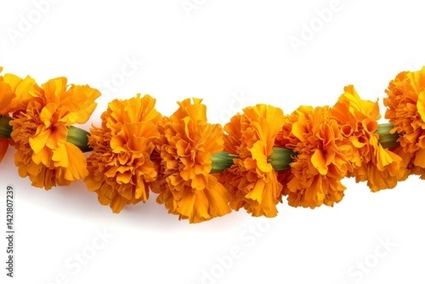 Obraz Orange Marigold Garland on a White Background