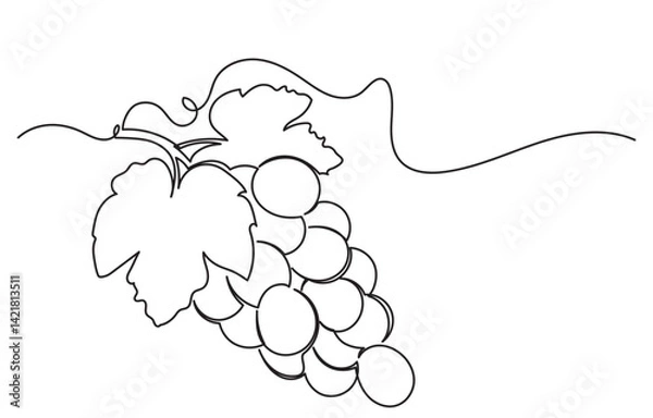 Fototapeta One continuous line drawing of a grape bunch, minimalist and clean. A simple, line art grape isolated on a white background vegan symbol in linear doodle style. Great for organic food designs vector.