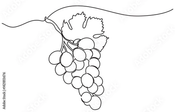 Fototapeta One continuous line drawing of a grape bunch, minimalist and clean. A simple, line art grape isolated on a white background vegan symbol in linear doodle style. Great for organic food designs vector.