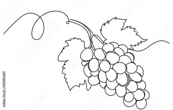 Obraz One continuous line drawing of a grape bunch, minimalist and clean. A simple, line art grape isolated on a white background vegan symbol in linear doodle style. Great for organic food designs vector.