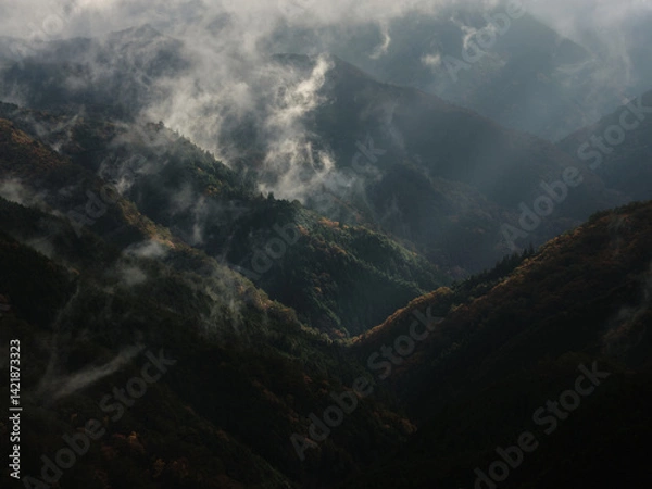 Obraz 紅葉の山に差し込む光