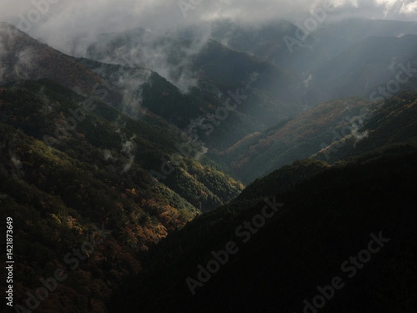 Obraz 紅葉の山に差し込む光