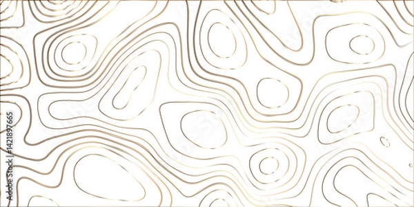 Obraz Topographic canyon geometric map relief texture with curved layers and shadow. abstract White background with a beautiful pattern, Topographic contour lines vector map seamless pattern vector.