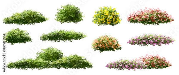 Fototapeta  Vector watercolor blooming flower tree or forest side view isolated on white background for landscape and architecture drawing,elements for environment or and garden,green tree for garden section 