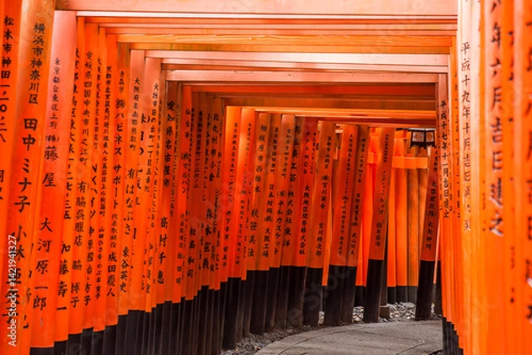 Obraz Fushimi Inari Shrine with rows of Torii (Gate) in Kyoto, Japan 