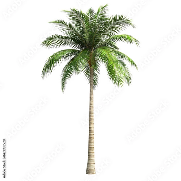 Fototapeta A majestic palm tree standing tall against a bright white background, showcasing its vibrant green fronds and textured trunk.