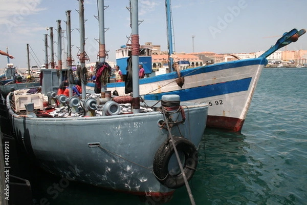 Obraz Barcos de almadraba