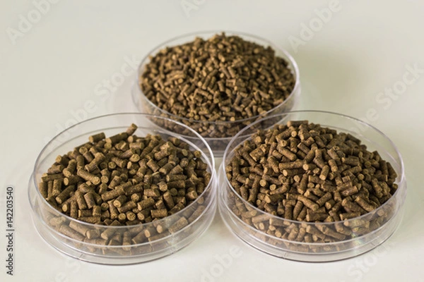 Fototapeta shrimp feed isolated background