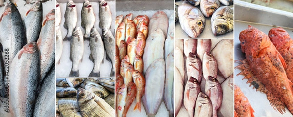 Obraz Collage of Fresh Fish Varieties