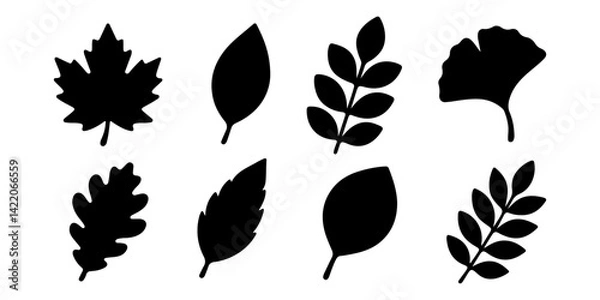 Fototapeta Set of black leaf silhouettes in different botanical shapes, ideal for nature designs, eco themes, and seasonal illustrations. Vector illustration