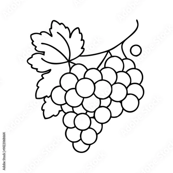 Fototapeta grapes on the vine icon, grapes on the vine line art - simple line art of grapes on the vine, perfect for grapes on the vine logos and icons