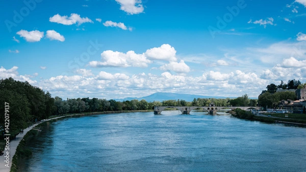 Fototapeta le pont d'avignon, france. sunny day mountain view.