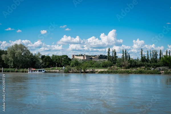 Obraz castle of villeneuve on the other side of the river rhone