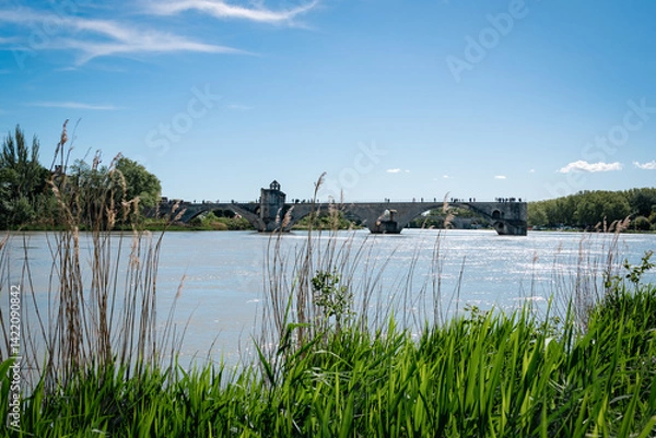 Fototapeta river view in avignon