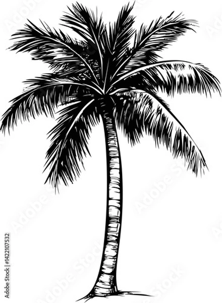 Fototapeta Black and white illustration of a palm tree in tropical style. Vector illustration