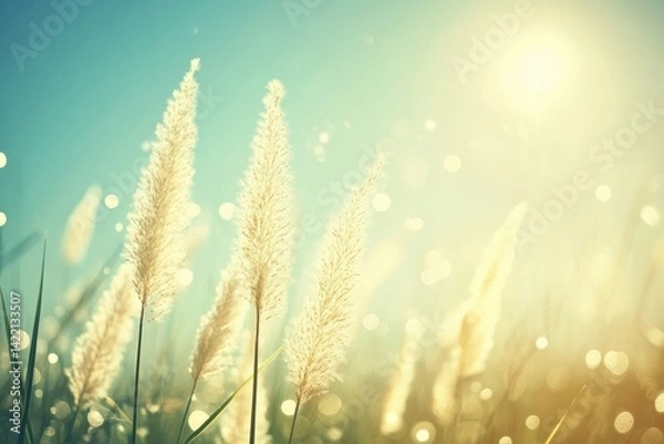 Obraz 柔らかな風に揺れる穂が、清々しい青空と共に広がっている風景を楽しむ。