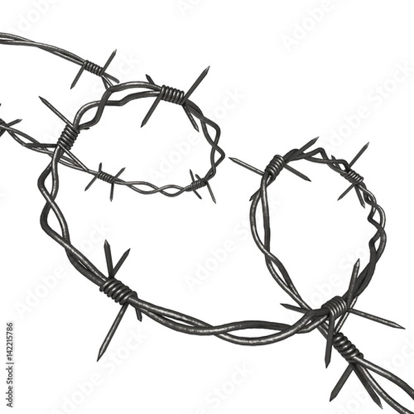 Fototapeta Coil of Steel Barbed Wire isolated on a white background 3d rendering