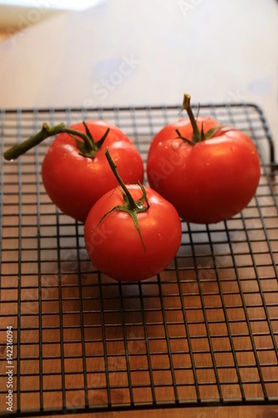 Obraz Tomato 